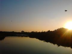 scenic view of Adyar Poonga's waterbody during sunset