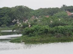 Adyar Tholkappiya Poonga Park in Chennai India