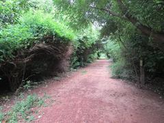 Adyar Poonga Park in Chennai, India