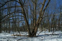 Thomson Memorial Park in Scarborough, Toronto