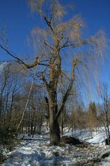 Thomson Memorial Park in Scarborough, Toronto