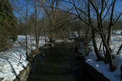 West Highland Creek in Thomson Memorial Park, Toronto