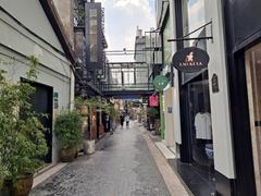 Tianzifang street in Shanghai