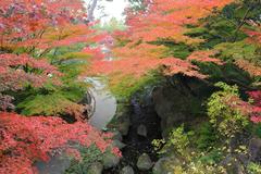 Kosenkyo Gorge in Tokugawaen Garden, Nagoya, 2021