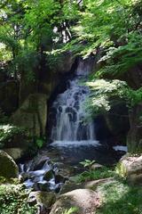 Osone Waterfall at Tokugawa Garden