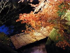 Tokugawaen Garden illuminated at night