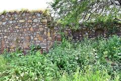 Balban Khan's Tomb