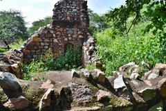 Balban Khan's Tomb in Mehrauli Archaeological Park