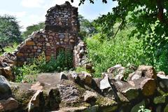 Balban Khan's Tomb image