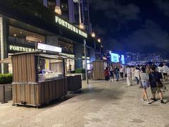 Tsim Sha Tsui Avenue of Stars scenic view