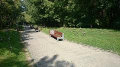 Aleja Godziny W in Warsaw with rows of wooden crosses seen from the top