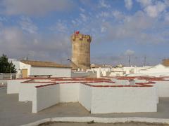 Paterna Tower and labyrinth