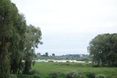 View of Volkhov River