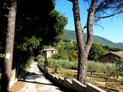 Scenic path between Assisi and St. Damiano