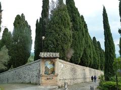 Monumental cypresses at the sanctuary of San Damiano in Assisi