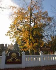 Buddhapadipa Temple in Wimbledon