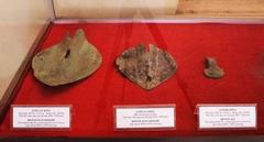 Bronze ploughshares and axe head excavated at Mả Tre archaeological site