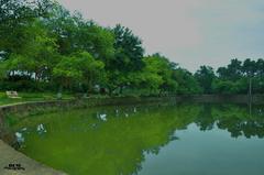 Giếng Mỵ Châu amid lush greenery