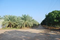 Gala Farm in Bhuj, Kachchh