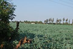 Gala Farm in Bhuj, Kachchh