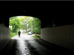 Kissing Bridge 5801 in a scenic wooded area during fall