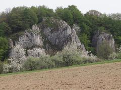 Poprzeczna Turnia, Skała Jaskini Wierzchowskiej Górnej, and Zaroślak in OPN