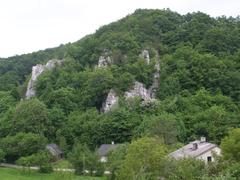 Wierzchowie village landscape with green fields and residential homes