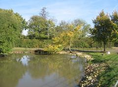 Duck Pond at Home Farm with ducks swimming on water surrounded by trees