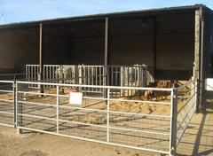 farm pens at Wimpole Estate