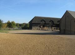 farmyard at Home Farm