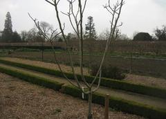 grand walled garden at Wimpole Hall