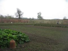 inside the walled garden Wimpole Hall