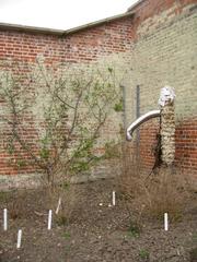 scarecrow in a corner of a garden