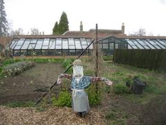 Scarecrow in Wimpole Hall walled garden