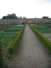 A trim box hedge at Wimpole Hall's walled garden