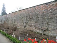 Walled garden at Wimpole Estate