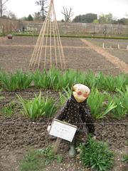 An odd scarecrow in a field with a cloudy sky in the background