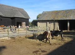 Central courtyard at Home Farm with a central pen for heavy horses on a sunny day