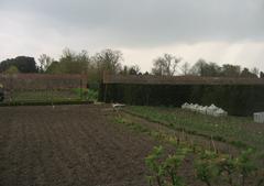 Centre of the walled garden at Wimpole Hall