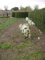 baby scarecrow in Wimpole Hall walled garden