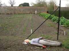 a resting scarecrow at Wimpole Hall