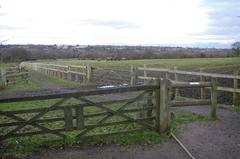 Footpath through Woodgate Valley Country Park