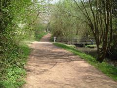 Paths and Bridge in Woodgate Valley Country Park