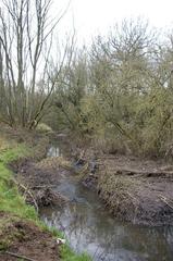 The Bourn Brook in Woodgate Valley Country Park looking upstream