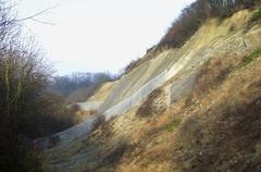 Dipping Limestone at Wren's Nest Quarry, Dudley