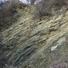 Limestone strata in Dudley, Worcestershire