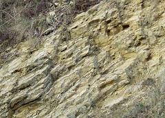 Limestone Strata in Dudley, Worcestershire