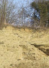 Limestone Strata in Dudley, Worcestershire