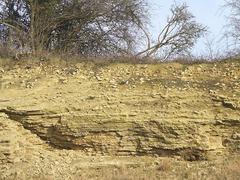 Limestone Strata in Dudley, Worcestershire