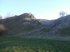 Limestone outcrop at Wren's Nest